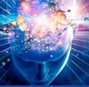 Meet your Posher, Vonda